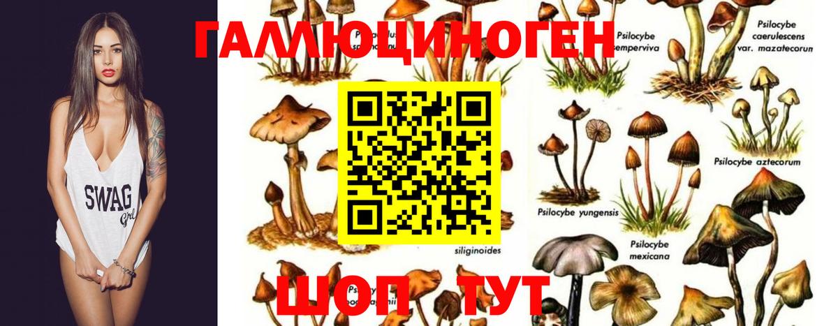 Псилоцибиновые грибы мицелий  Вход с VPN  Татарск 