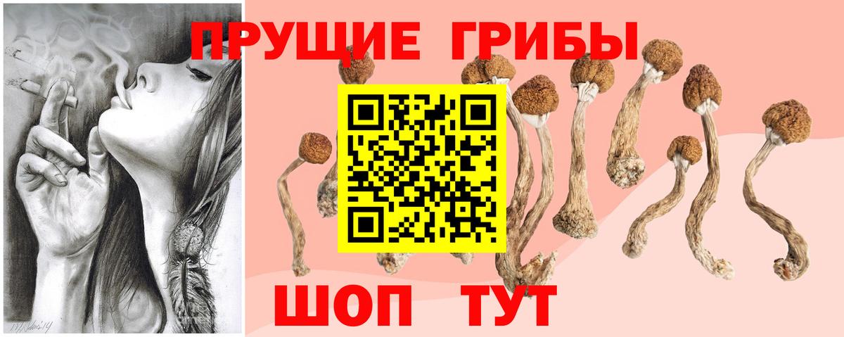 Псилоцибиновые грибы мухоморы Татарск